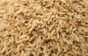 closeup pile of brown rice