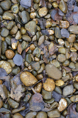 pebble texture close up