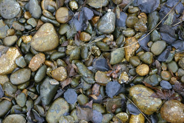 pebble texture close up