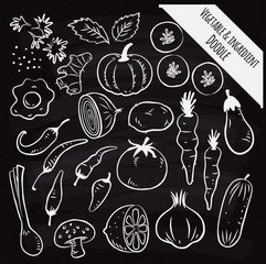 set of vegetable and ingredient doodle on chalk board