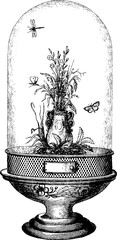 Naklejka premium Vintage drawing insect vivarium