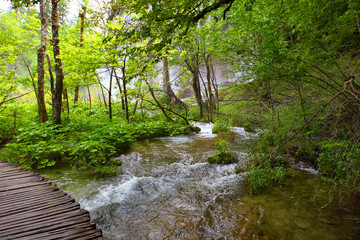 Obraz premium Plitvice Lake
