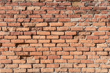 The old wood texture with natural patterns