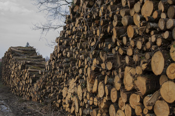 Wood stack