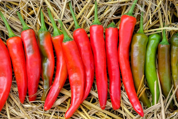 chilly peppers for sale at the market