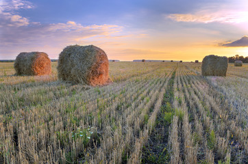Rolls of hay with beautiful sunset