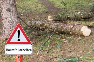 Baumfällarbeiten Warnschild
