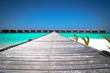 Obraz premium Jetty to Over-water bungalows