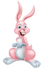 Pink Easter Bunny Rabbit