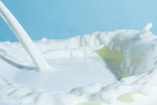 splash of milk, pouring jet stream of milk on a light blue background