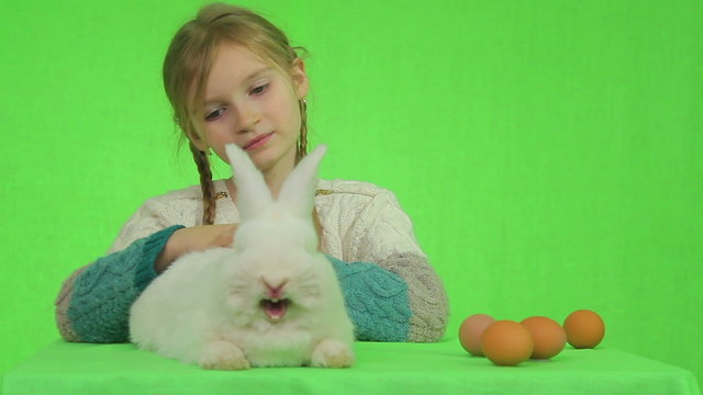 Girl with a white rabbit on a green screen. easter bunny