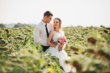 Wedding couple kissing and posing in a field of sunflowers