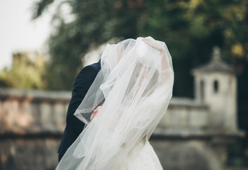Beautiful romantic wedding couple of newlyweds hugging near old castle 