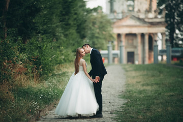 Beautiful romantic wedding couple, groom and bride hugging near old castle on sunset