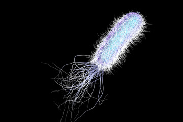Bacterium Pseudomonas aeruginosa isolated on black background, antibiotic-resistant nosocomial bacterium. Illustration shows polar location of flagella and presence of pili on the bacterial surface