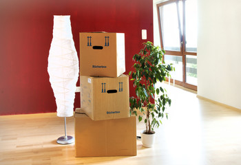 Umzug, Umziehen, Umzugskartons, leere Wohnung, Copyspace, Lampe, Pflanze