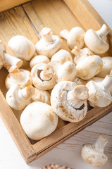 Fresh mushrooms cleaning