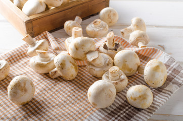 Fresh mushrooms cleaning