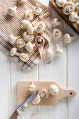 Fresh mushrooms cleaning