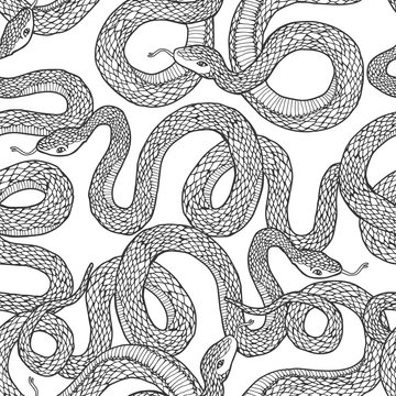 Snakes seamless pattern.