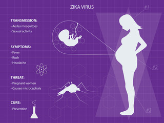 Zika disease infographic purple background