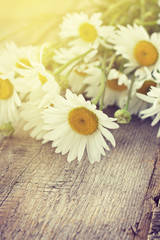 Fototapeta na wymiar bouquet of chamomile (toning, instagram filter)