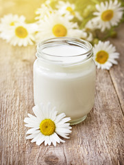 Obraz na płótnie Canvas homemade yogurt , bouquet camomiles
