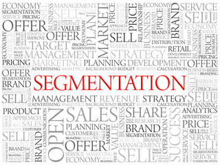 Fototapeta na wymiar Segmentation word cloud, business concept background