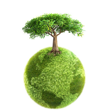 green tree and Earth