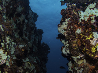 Fototapeta na wymiar underwater cave view