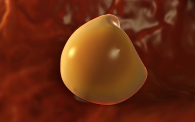  Aconite anther and pollen