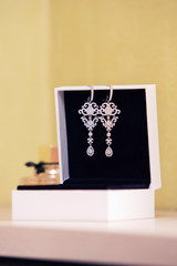 women's jeweler earrings in a white box