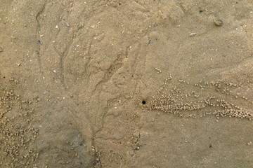 Patterns of sand on the beach