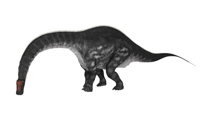 Dinosaur Apatosaurus on White