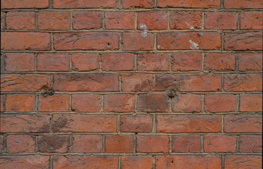 Golden shiny background