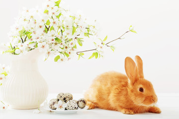 Red rabbit with Easter eggs on white background