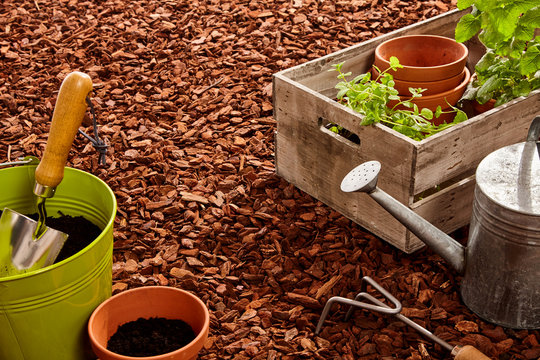 Gardening tools and seedlings over mulch