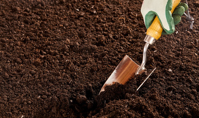 Unidentified hand using trowel in soil bed