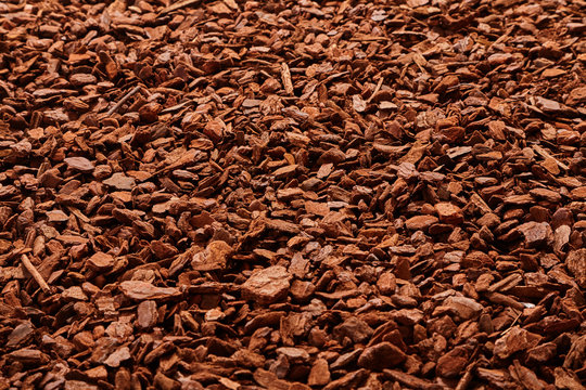 Natural background of angled view on mulch