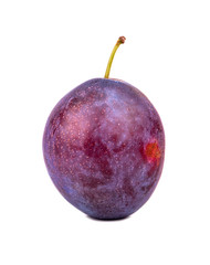 Plum