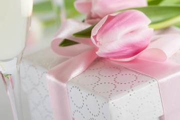 Pink fresh tulip on  gift box