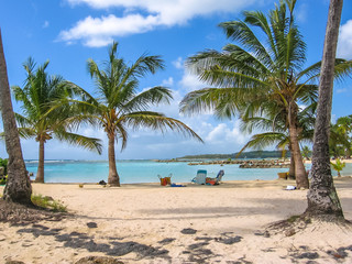 Coconut palms, turquoise sea and white sandy beach of famous Sainte-Anne, Guadeloupe, Antilles, Caribbean.