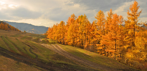 autumn Altai Mountains