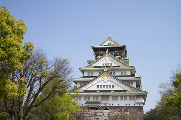 Fototapeta premium Osaka Castle with blue sky.