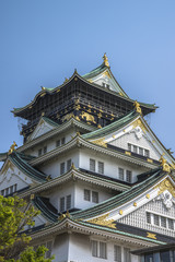 Fototapeta premium Osaka Castle with blue sky.
