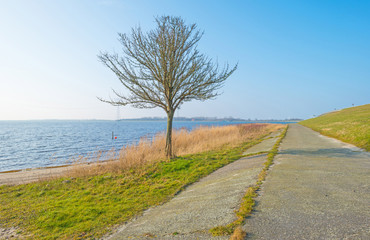 Dike along a lake in winter