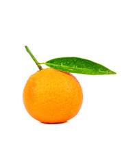 Fruit tangerine