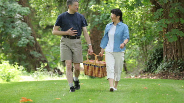 Mature couple walking in park with picnic basket