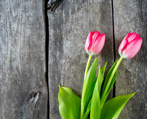 pink tulips on wooden surface