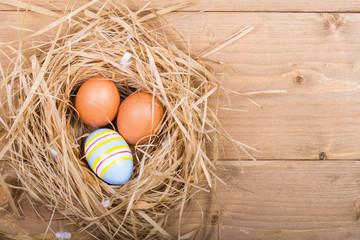 Nest on wood background